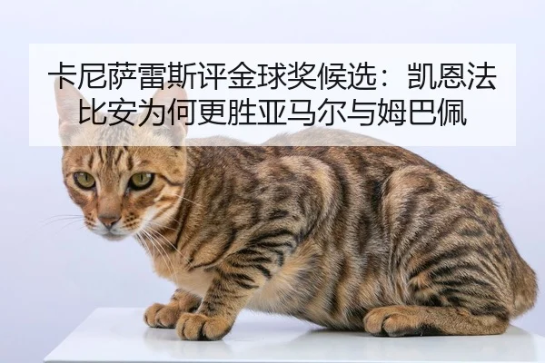 卡尼萨雷斯评金球奖候选：凯恩法比安为何更胜亚马尔与姆巴佩 - kaiyun